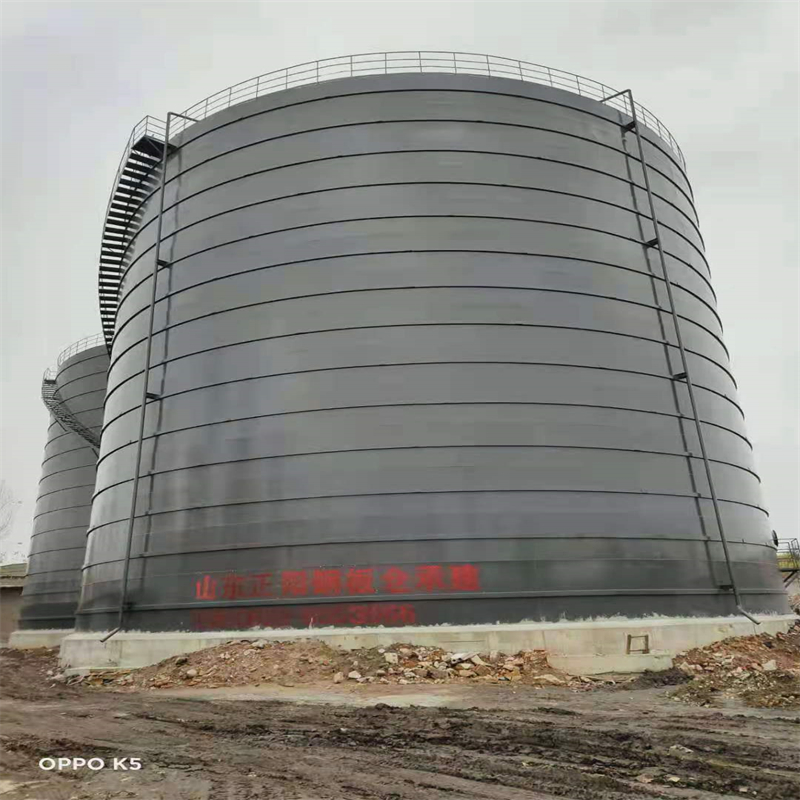 梨林镇3万吨大型钢板库