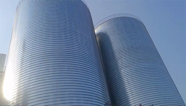 梨林镇2座混凝土高架卷板仓